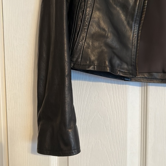 Leather Jacket - Picture 2 of 13